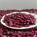 HARICOT ROSE FONCÉ ROUGE rajma HPS 200-220PCS / 100G